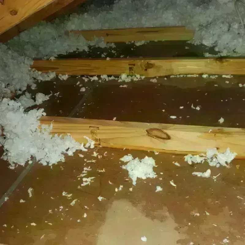 Attic Water Damage in Mason, TX