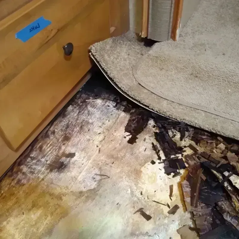 Best Wood Floor Water Damage Service in Mason, TX